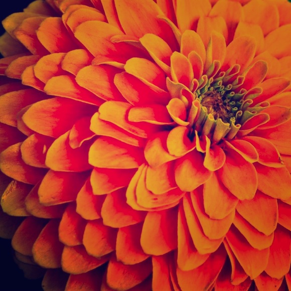 Meet your Posher, E - Picture 1 of 1